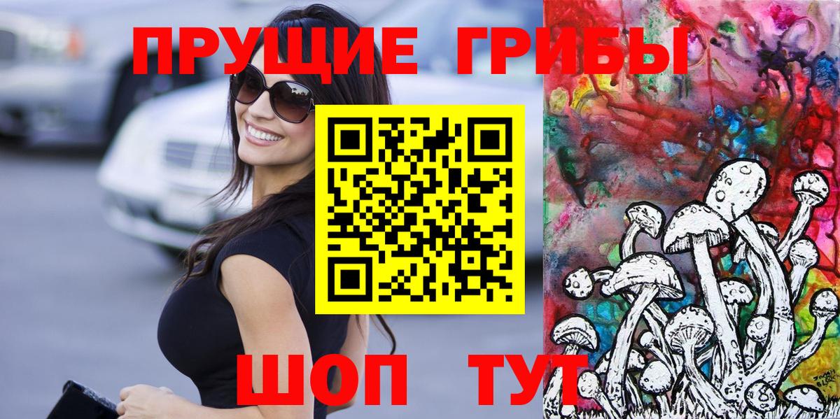 Тосно  цены наркотик  Вход с VPN  Галлюциногенные грибы Cubensis 