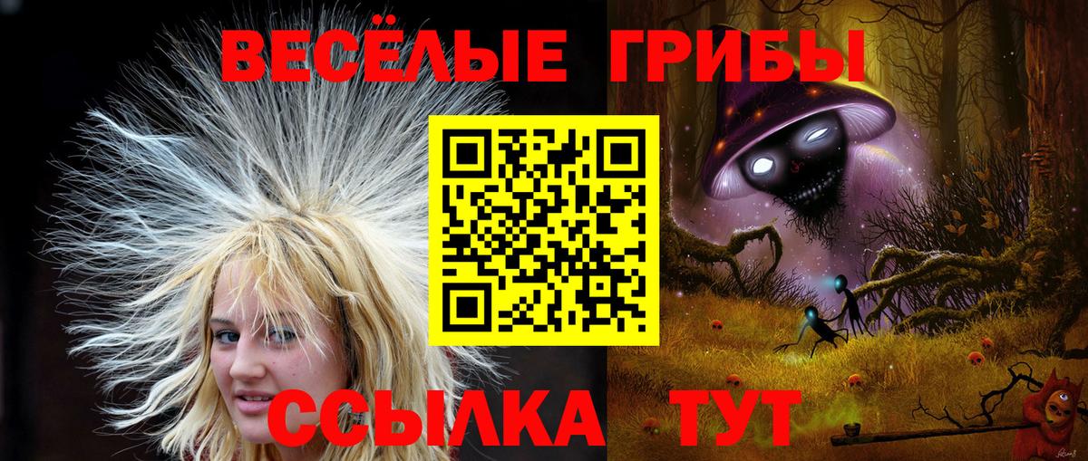 Псилоцибиновые грибы мицелий Тосно